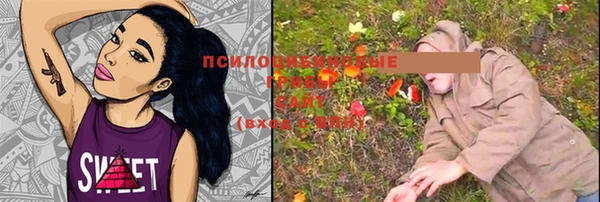 прущие крисы Михайловка