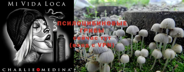 a pvp Михайловск