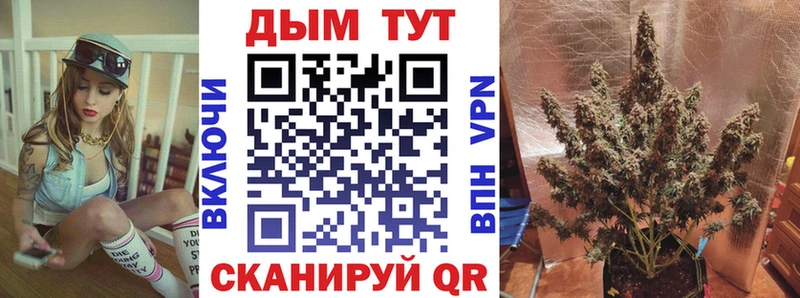 Купить закладки  Люберцы  Конопля VHQ 